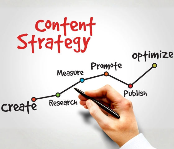 Content marketing expert Kerala managing blog strategy dashboard showing 10000+ monthly organic visitors and lead generation metrics